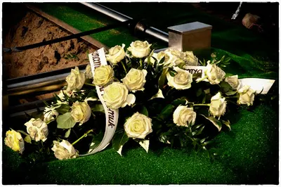 Róża Usługi Pogrzebowe Gdynia - Pogrzeby